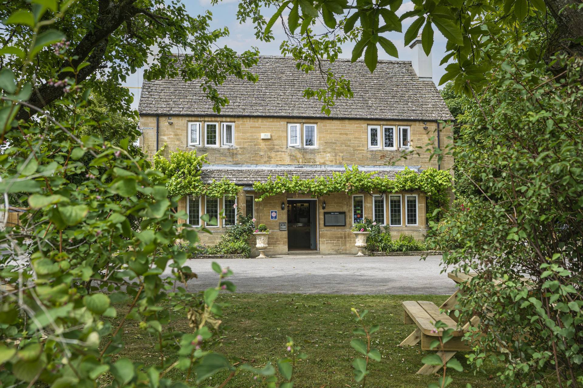 The Vines